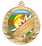 3D Softball Motion Medal 2 3/4"