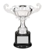 6 1/2" SILVER METAL CUP