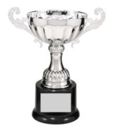 7 3/8" SILVER METAL CUP
