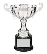 8 1/2" SILVER METAL CUP