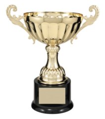 9 3/4" GOLD METAL CUP
