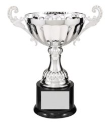 9 3/4" SILVER METAL CUP