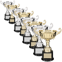 Aluminum (Body) Metal Trophy Cup, Size (Inches): 20inch, 22inch
