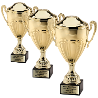 Tuscany Gold Metal Cup (3 sizes) — The Trophy Case