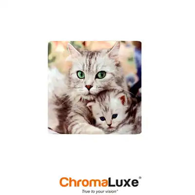 ChromaLuxe Sublimation Blank Aluminum Photo Panel - 8" x 8" - Gloss White