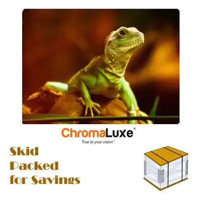 ChromaLuxe Sublimation Blank Aluminum Photo Panel - 30" x 40" - Gloss Clear