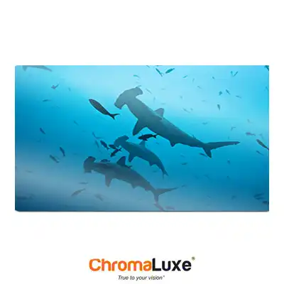 ChromaLuxe Sublimation Blank Aluminum Sheet Stock - 49" x 97" - Semi-Gloss White - 1-Sided