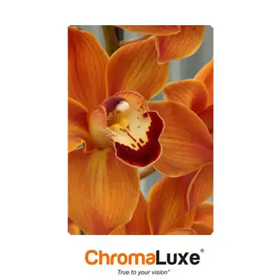 ChromaLuxe Sublimation Blank Aluminum Photo Panel - 11" x 14" - Semi-Gloss Clear