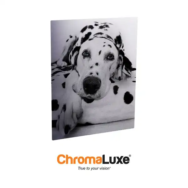 ChromaLuxe Sublimation Blank Outdoor Life Aluminum Photo Panel - 12"x18"- Gloss Clear