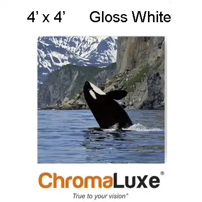 ChromaLuxe Sublimation Blank Aluminum Sheet Stock - 48.5" x 49" - Gloss White - 1-Sided