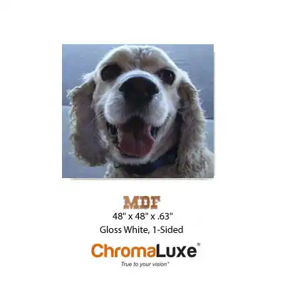 ChromaLuxe Sublimation Blank MDF Sheet Stock - 48.3" x 49" - Gloss White - 5/8" Thick