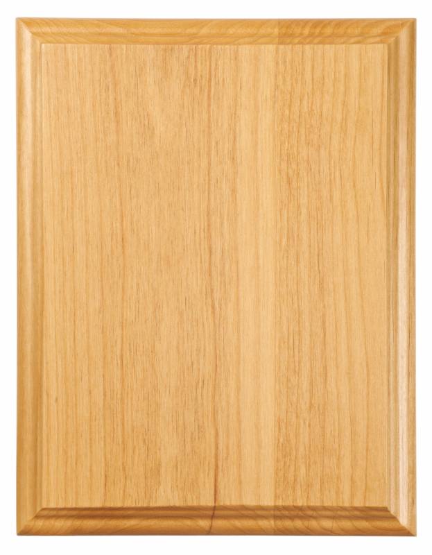 Pack of 2 Oak Finish Blank Wood Plaque 9  x 12 Only $11.99 each (PL16)