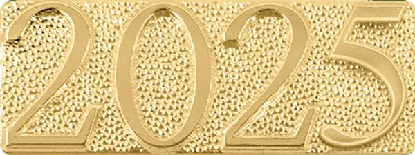 Gold 2025 Lapel Chenille Insignia Pin - Metal