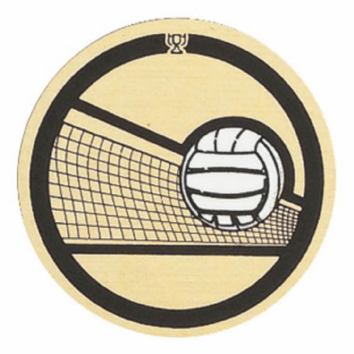 2" Volleyball Gold Mylar Trophy Insert