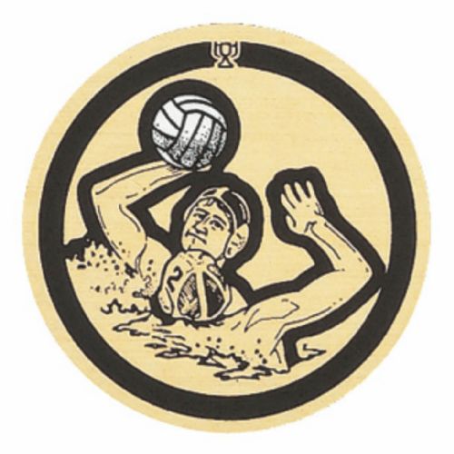 2" Water Polo Gold Mylar Trophy Insert