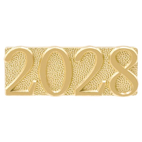 Gold 2028 Lapel Chenille Insignia Pin - Metal